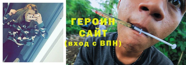 дмт Бородино