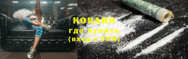 дмт Бородино