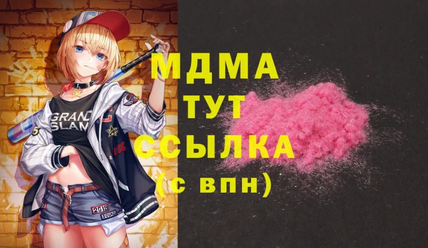 дмт Бородино