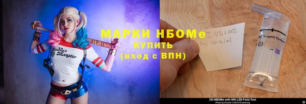 дмт Бородино