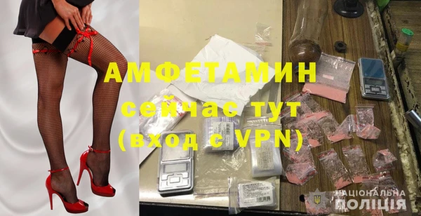 дмт Бородино