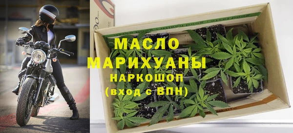 дмт Бородино