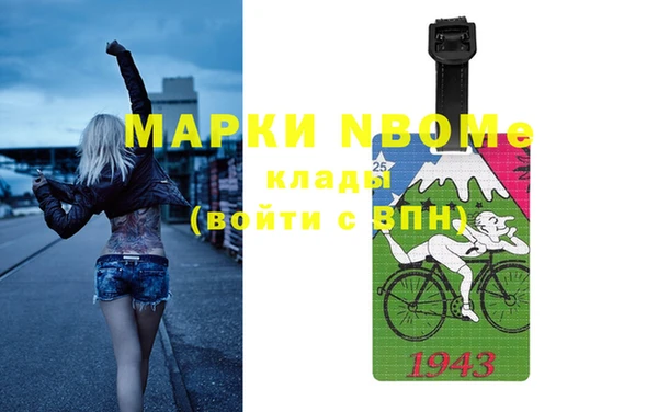 дмт Бородино