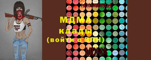 дмт Бородино