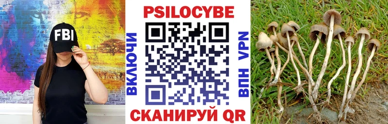 наркошоп Плавск Галлюциногенные грибы GOLDEN TEACHER